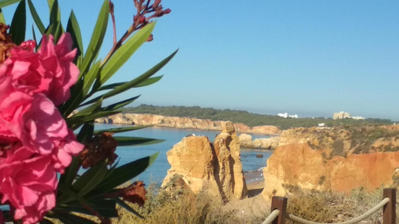Albur Village B - Dandelion Alvor Exterior foto
